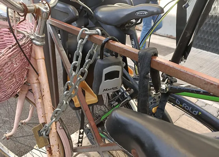 Saint Peter's Nest *