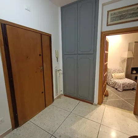 Saint Peter's Nest *