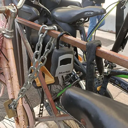 Saint Peter's Nest *