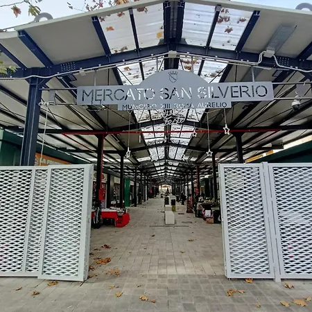 Apartman Saint Peter's Nest *