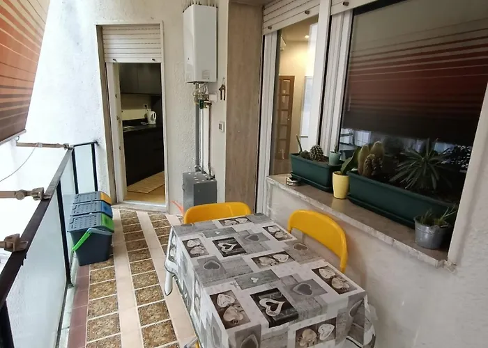 Saint Peter's Nest Rome